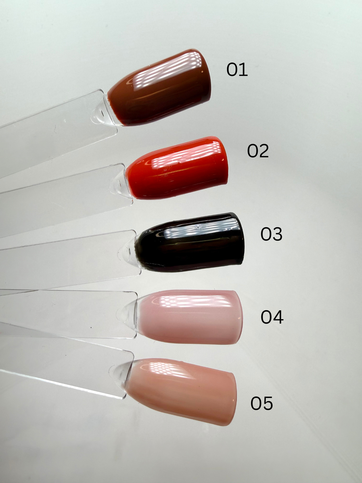 Solid Color - Fall Favorites